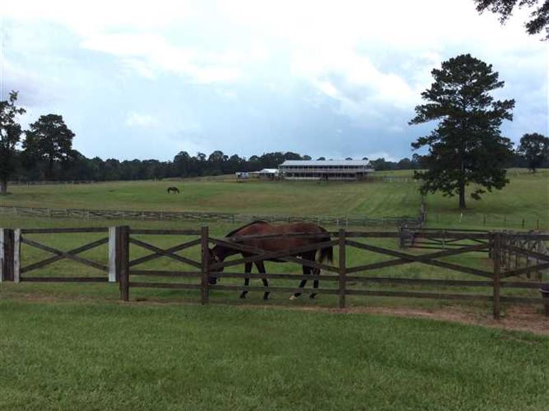 The Greystone Ranch of Wilkinson : Centreville : Wilkinson County : Mississippi