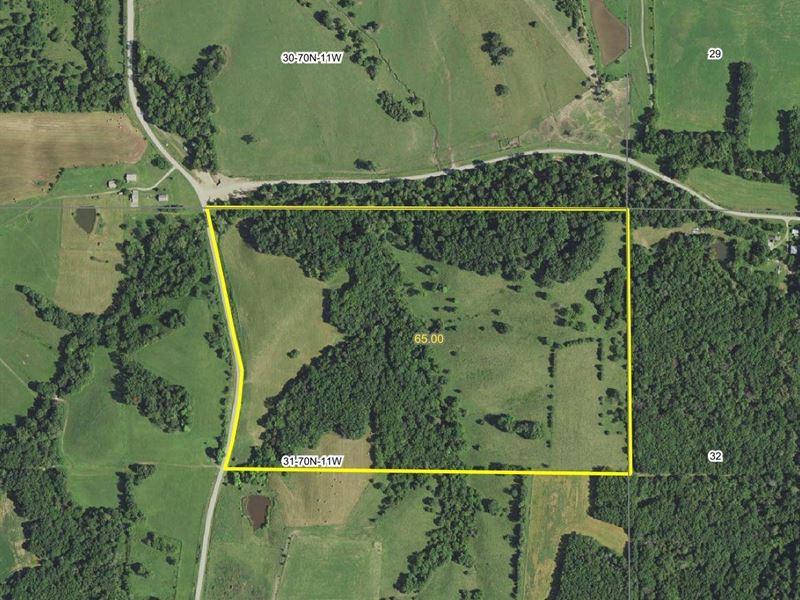 65 Acres of Incredible Hunting : Douds : Van Buren County : Iowa