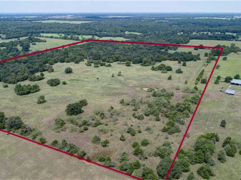 Beautiful 70 Acres of 50 Wood : Bremond : Robertson County : Texas