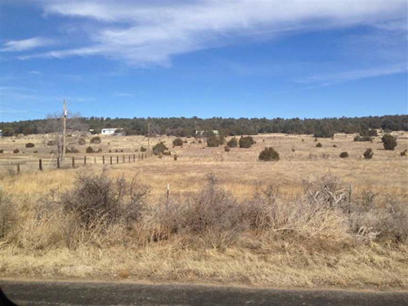 37.23 Acres with Water Well : Tijeras : Bernalillo County : New Mexico