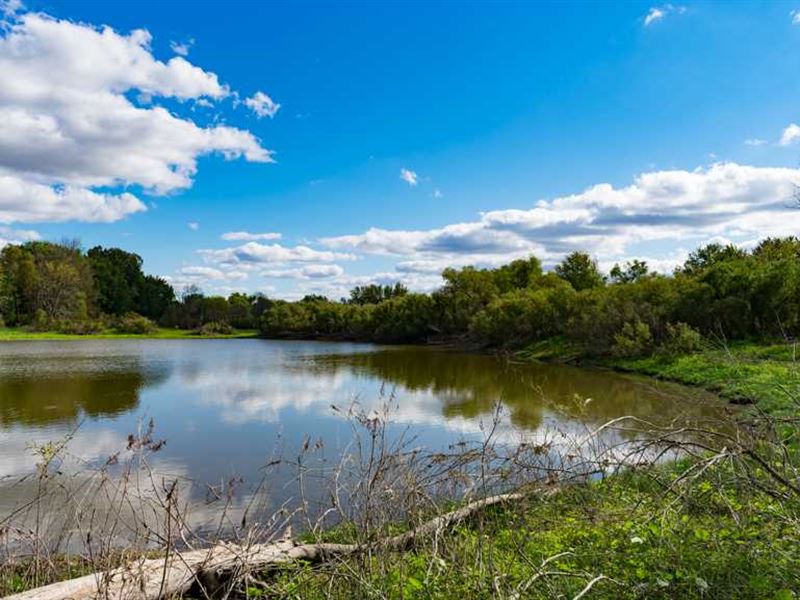 Affordable Hunting Land in Dodge : Ashippun : Dodge County : Wisconsin