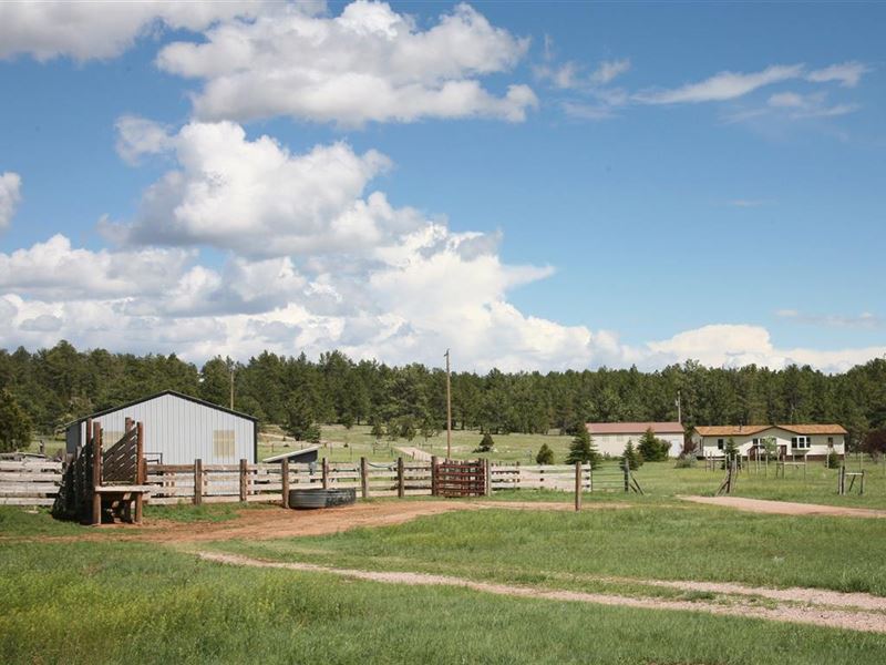 Behl Ranch Ranch for Sale in Edgemont, Custer County, South Dakota