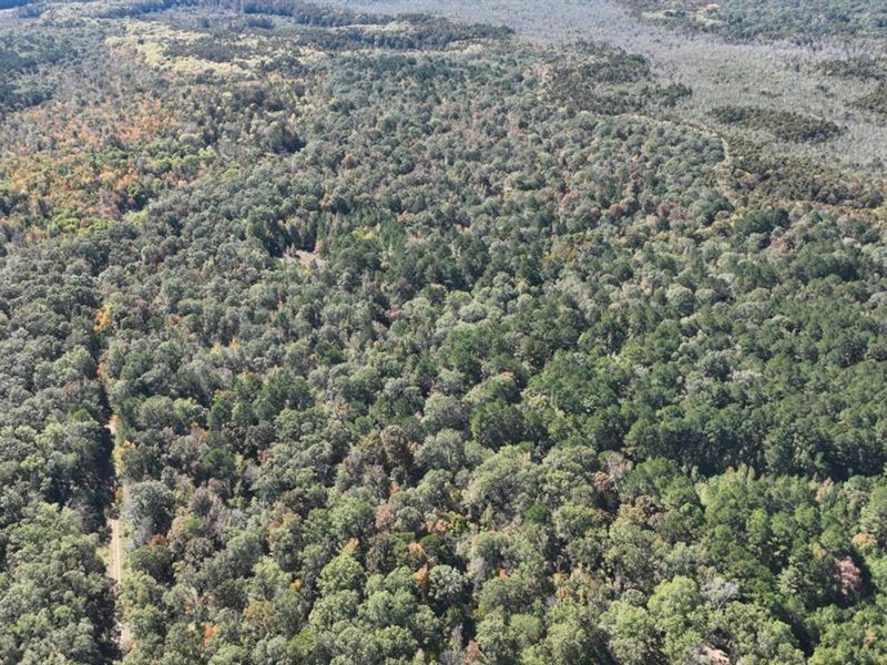 Martin Lane Tract, Ouachita Parish : West Monroe : Ouachita Parish : Louisiana