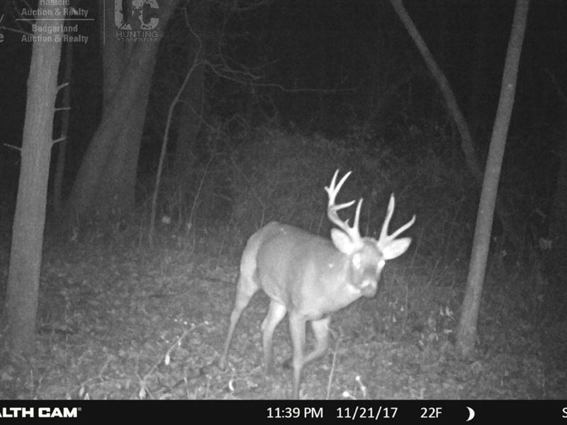 Premium Hunting Property : Blanchardville : Iowa County : Wisconsin