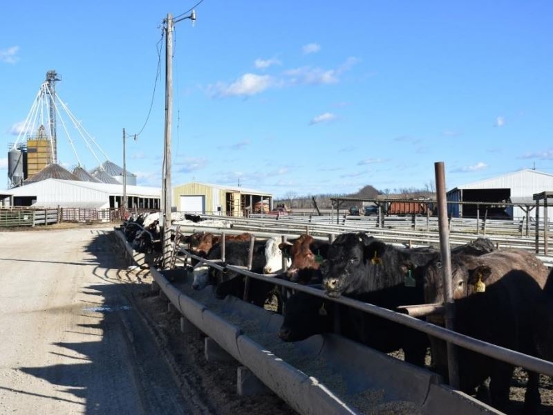 Turn Key Feed Lot : Triplett : Chariton County : Missouri