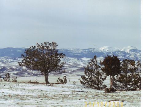 Monument Ranch w/Mtn Views N1322 : Absarokee : Stillwater County : Montana