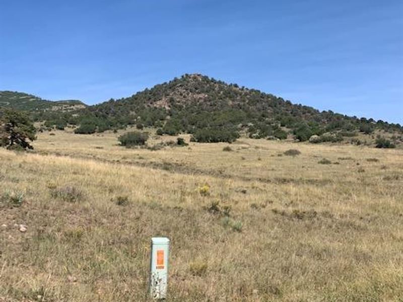 Lot 83 S T Bar : Canon City : Fremont County : Colorado