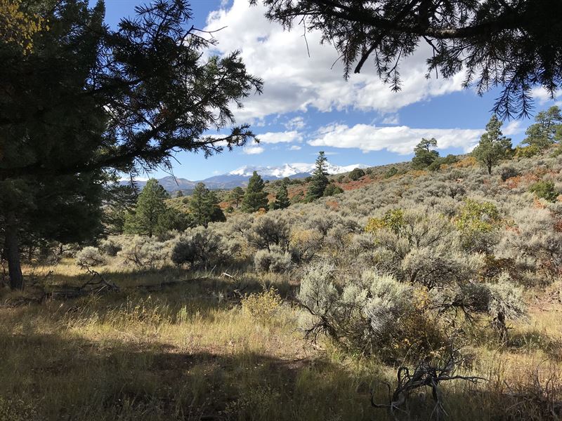 Forbes Wagon Creek Ranch Lot 268 Ranch for Sale in Fort Garland