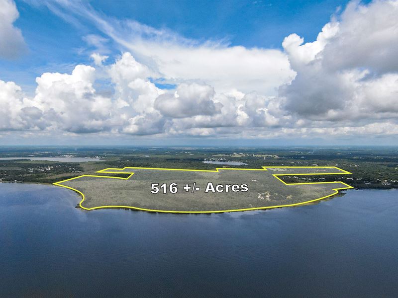 Lake Griffin Farms with Lakefront : Fruitland Park : Lake County : Florida