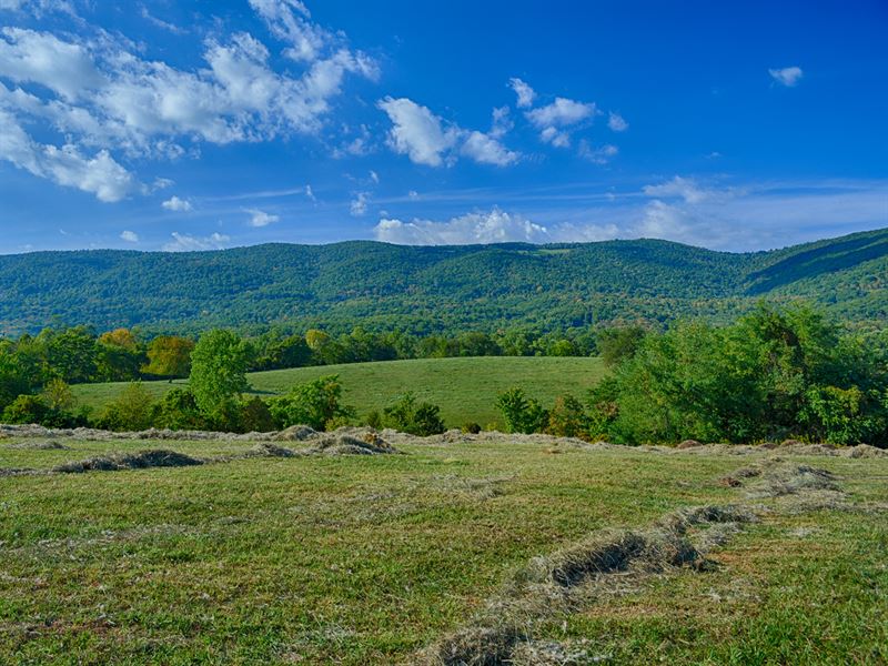 Expansive Blue Ridge Mtn Views : Afton : Albemarle County : Virginia