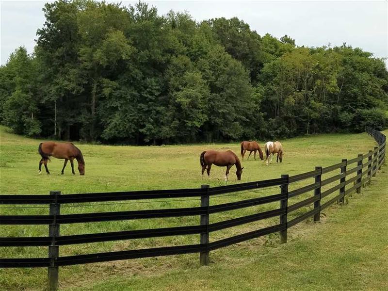 13+ Acre Horse Farm : Rock Hill : York County : South Carolina