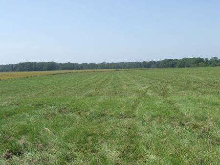 Hagerman Ranch 2000 Acres : Aliceville : Sumter County : Alabama