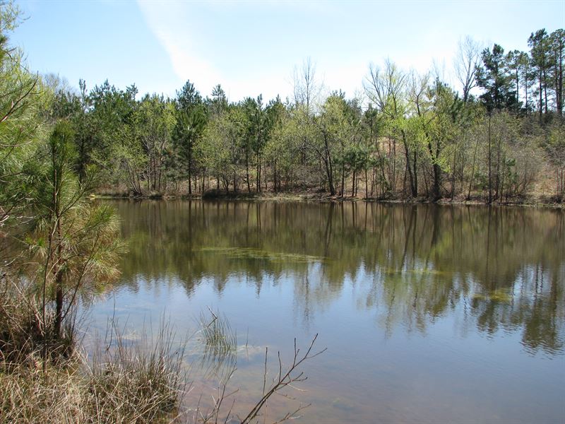 Dixon Mills 100 Ac With Pond Ranch for Sale in Dixon Mills, Marengo