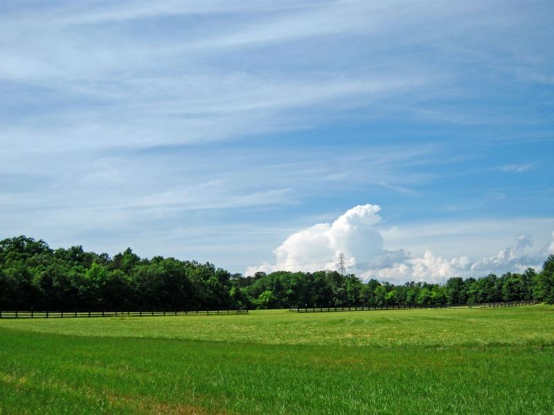 300 Acre Industrial Site with Rail : Spartanburg : Spartanburg County : South Carolina