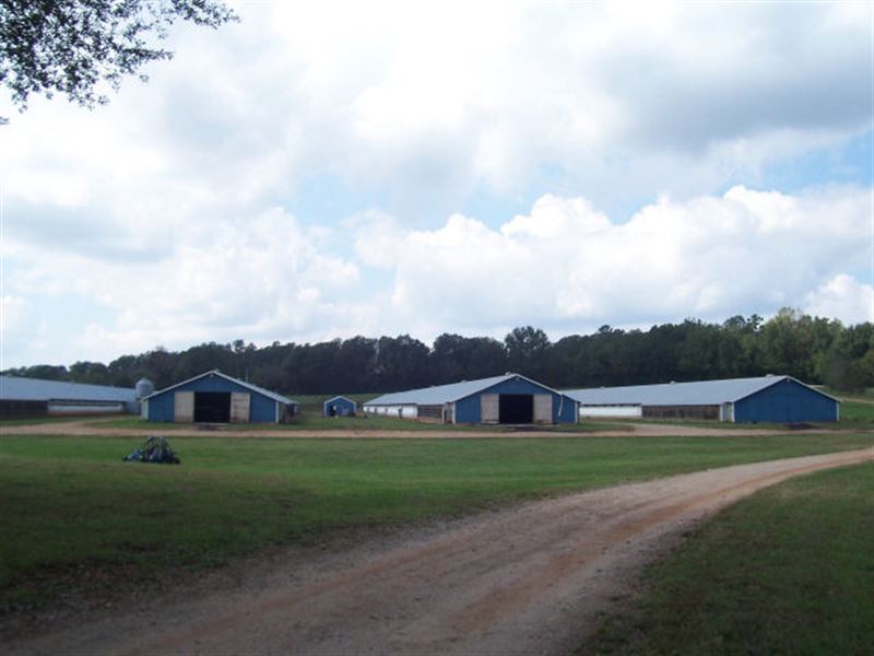 Northeast Georgia Poultry Farm : Maysville : Jackson County : Georgia