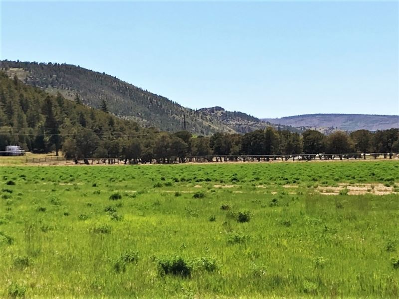 Mountain Acreage with Water : South Fork : Rio Grande County : Colorado