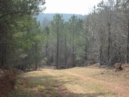 Recreational Or Large Homesite : Jeffersonville : Twiggs County : Georgia