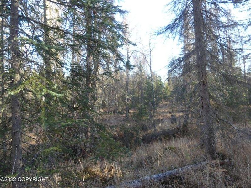 Remote Close in Off Grid Property : Kenai : Kenai Peninsula Borough : Alaska