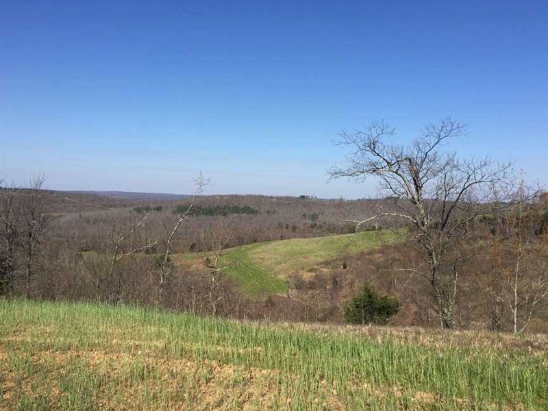 Price at $1100 Per Acre, 220 : Marshall : Searcy County : Arkansas
