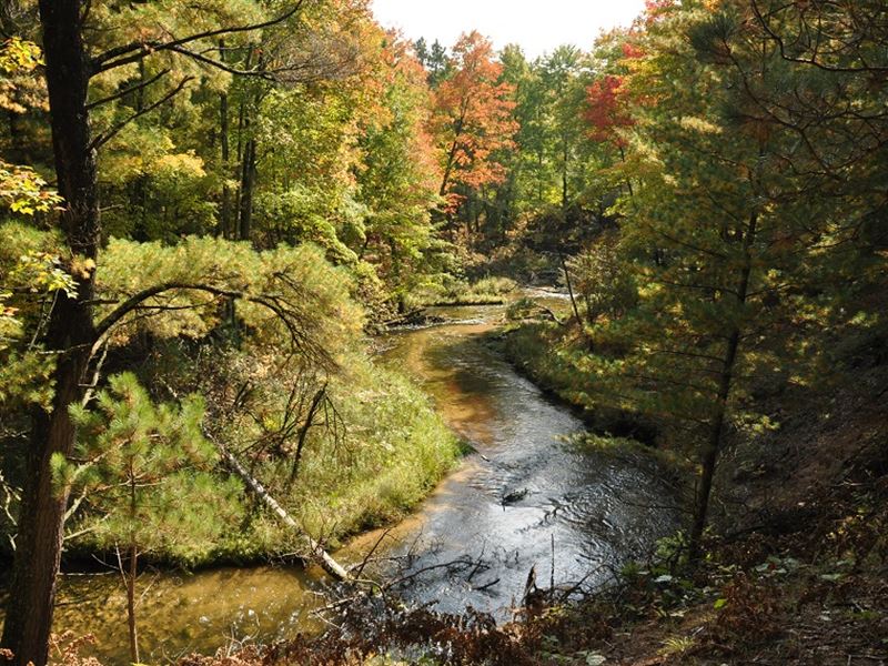Slagle Creek Cabin : Manistee : Manistee County : Michigan