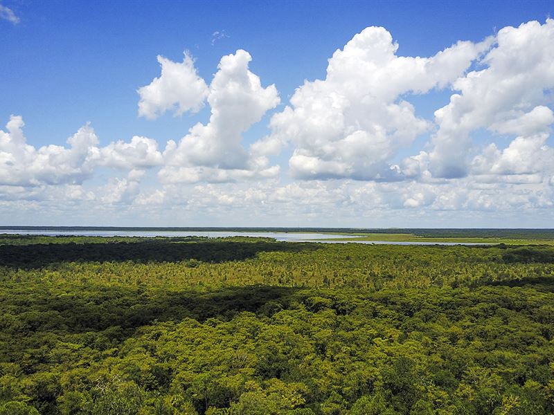 Volusia County Hunting : Mims : Volusia County : Florida