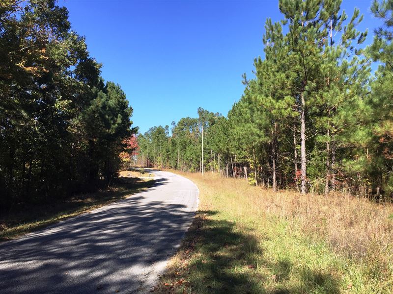 Guy Hart Road Tract, Tract 1557 : Lexington : Henderson County : Tennessee