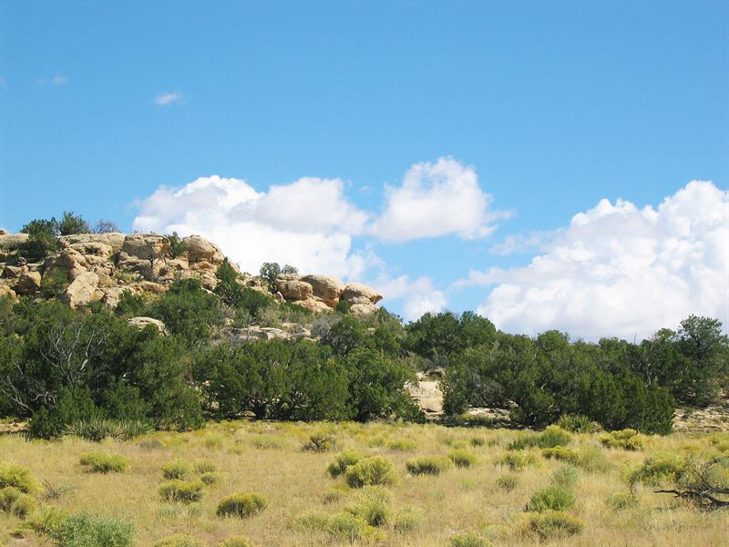Arizona's Best Wilderness Ranch : Saint Johns : Apache County : Arizona