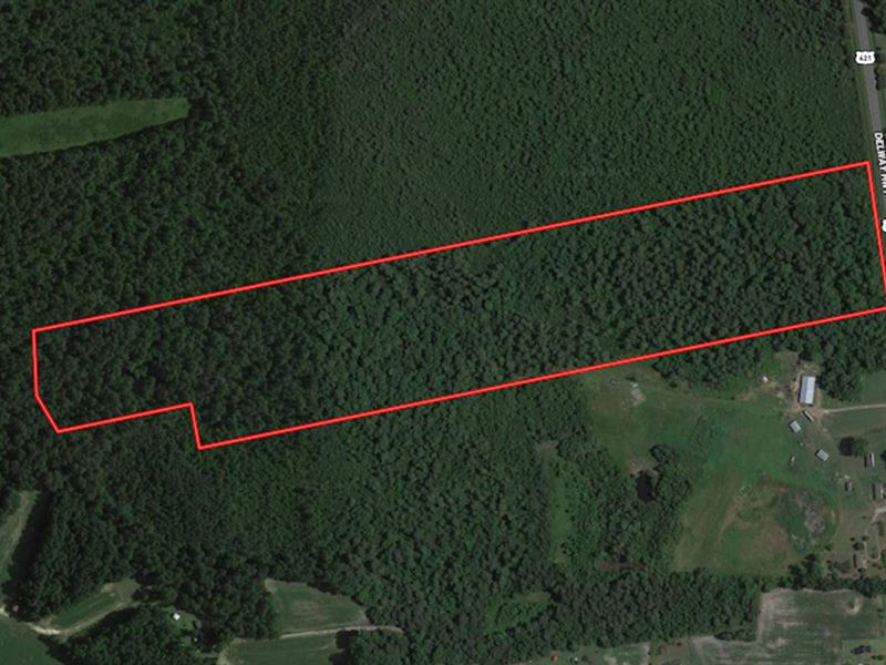 40 Acres in Rose Hill, North Carolina : Rose Hill : Sampson County : North Carolina