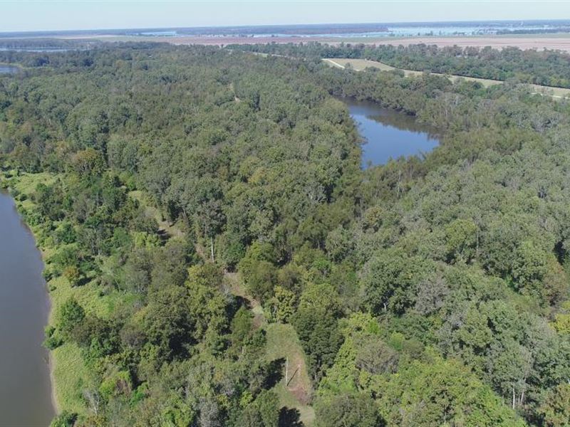 Tara Wildlife, Halpino : Vicksburg : Warren County : Mississippi