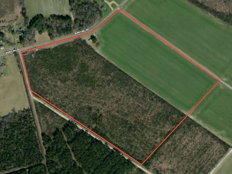 44.67 Acres or Prime Recreational : Edenton : Chowan County : North Carolina
