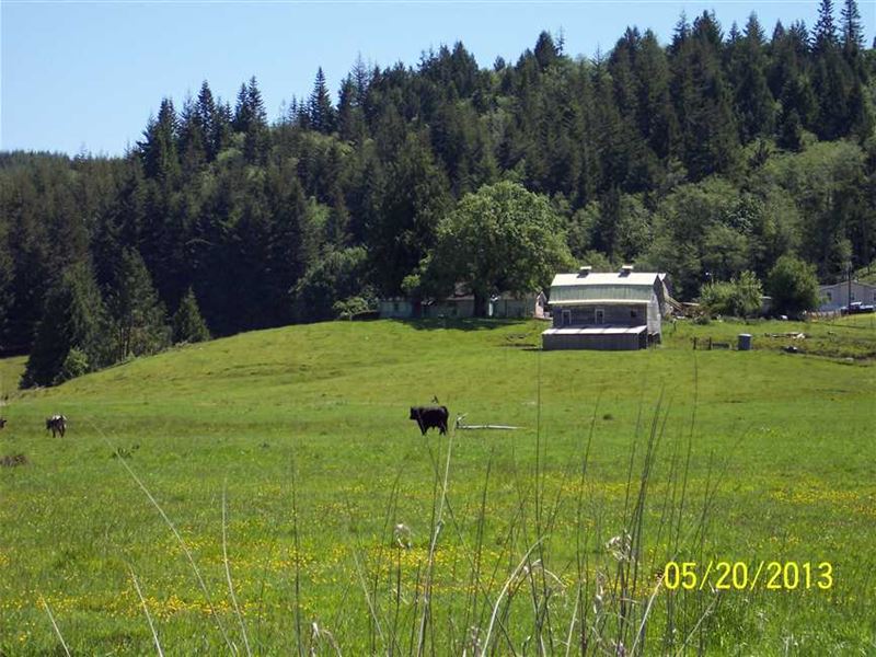 Sumner Rd Ranch : Coos Bay : Coos County : Oregon