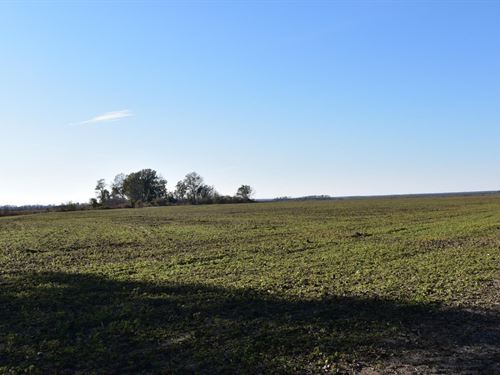 Levee Tract : Crumrod : Desha County : Arkansas