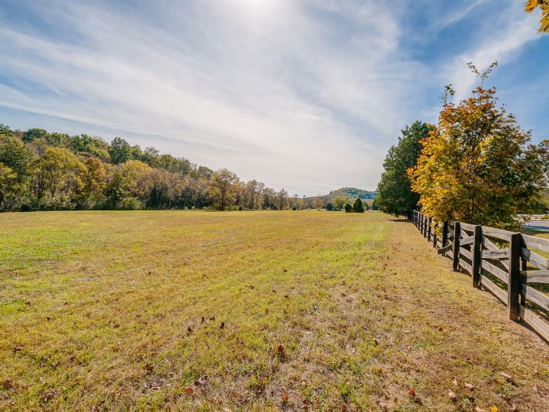 60 Acres with Creek : Hampshire : Maury County : Tennessee
