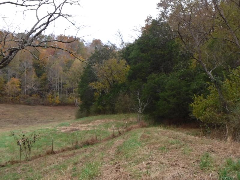48.11 Ac, Views, Cleared Pasture : Celina : Clay County : Tennessee