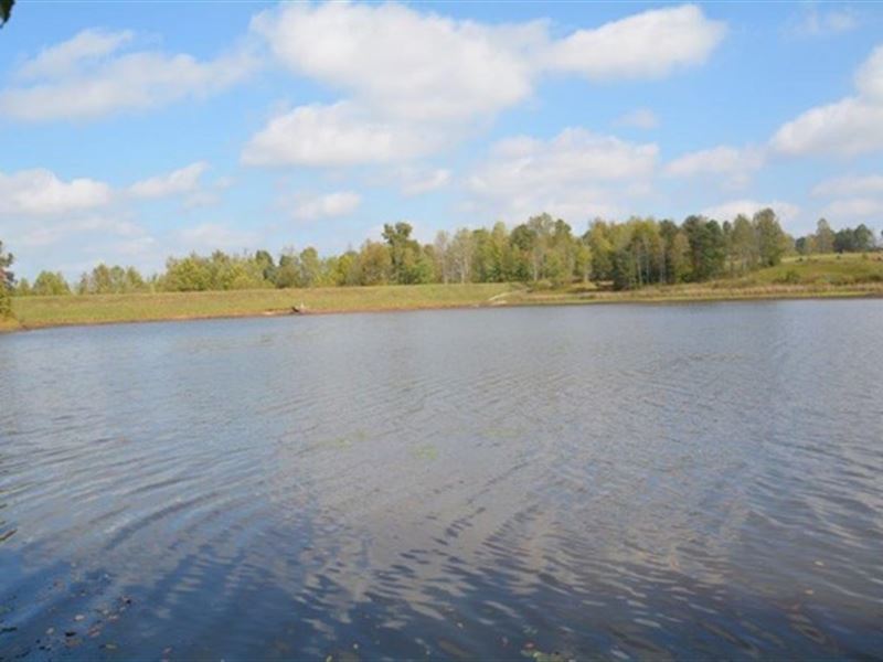 Falkland Tract 3 : Meherrin : Prince Edward County : Virginia