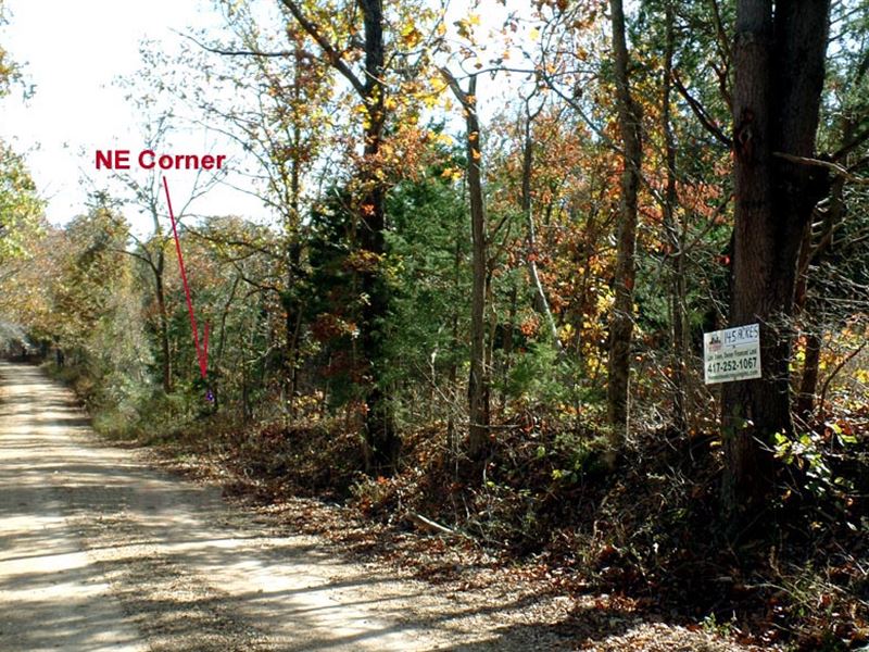 14.5 Acres, Raw Land with Electric : Morris : Wright County : Missouri
