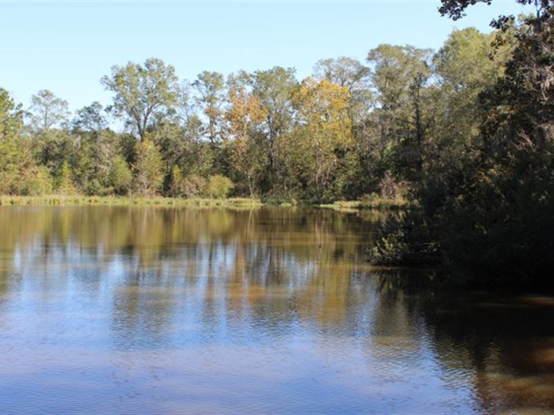 Hunting/ Fishing Getaway Near I-85 : Hardaway : Macon County : Alabama