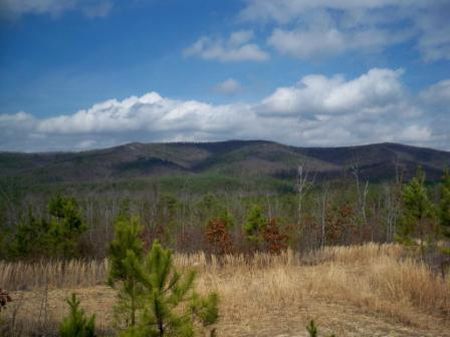 300 Acre Ranch : Tecumseh : Cherokee County : Alabama
