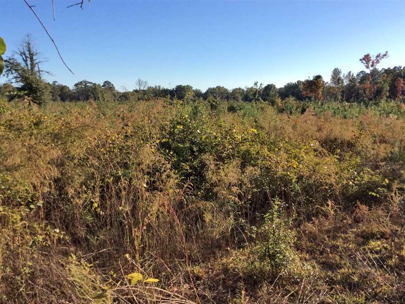 Hill Chaudron Drive 14 Ac : Greenville : Butler County : Alabama