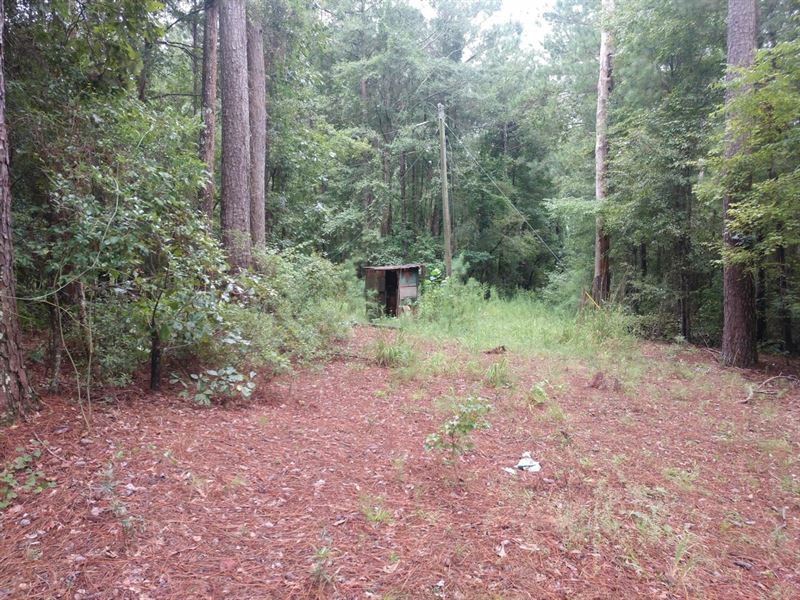 Minline, Copeland Tract, Union Par : Bernice : Union Parish : Louisiana