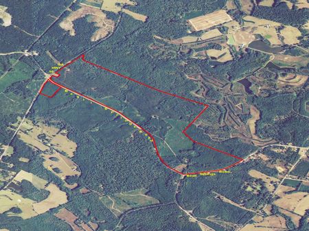Beall Springs Tract : Warrenton : Warren County : Georgia