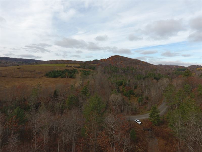 Parker Road Tract : Vershire : Orange County : Vermont