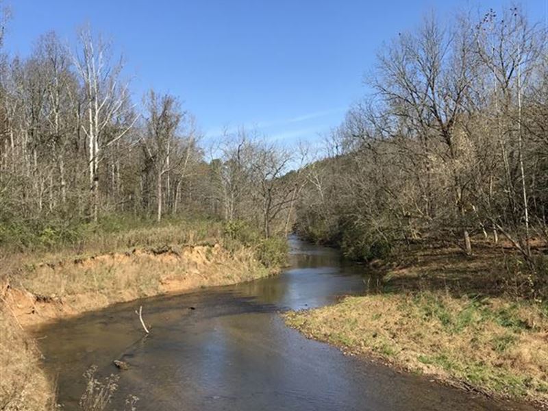 N. Ga Trout Sanctuary : Ball Ground : Cherokee County : Georgia