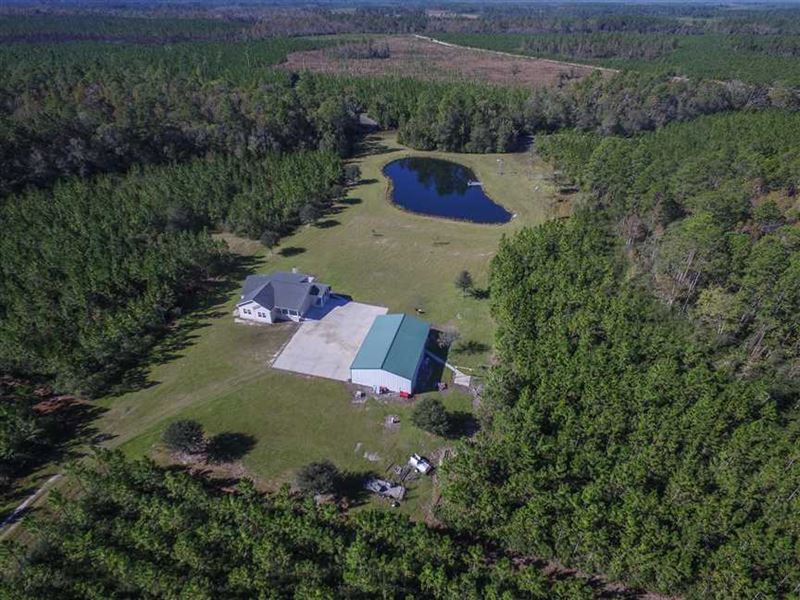 Hunting Land for Sale in Georgia 4 : Fargo : Clinch County : Georgia