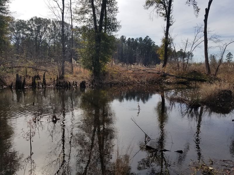 Deer and Duck Heaven : Cochran : Dodge County : Georgia