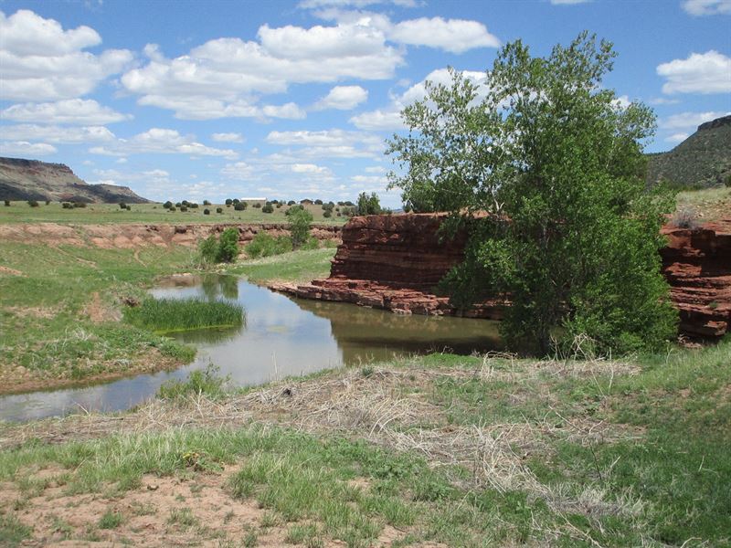 Red Rock Ranch : Folsom : Union County : New Mexico