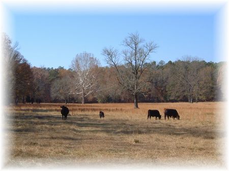 Lyle Farm : Crawfordville : Taliaferro County : Georgia