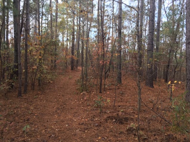 Meadow Creek Farm : Colbert : Madison County : Georgia