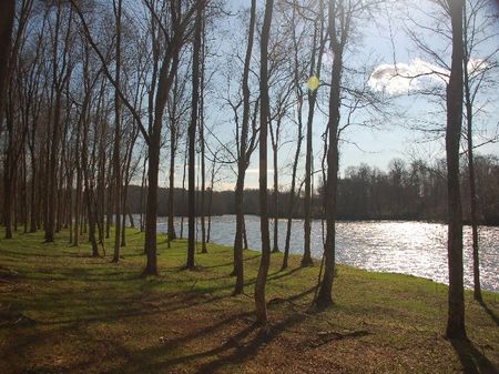 Knights Hill Plantation Near Camden : Camden : Kershaw County : South Carolina