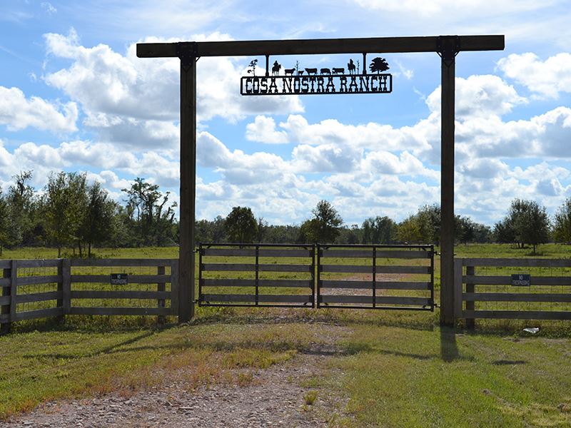 Highway 70 100 Acres : Arcadia : DeSoto County : Florida